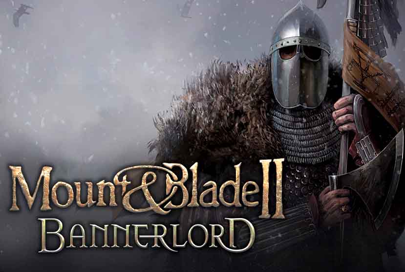 mount and blade followers