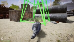 Wanted Raccoon Free Download Repack-Games