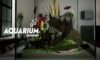 Aquarium Designer Free Download
