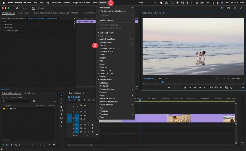 Adobe Premiere Pro 2024 Free Download