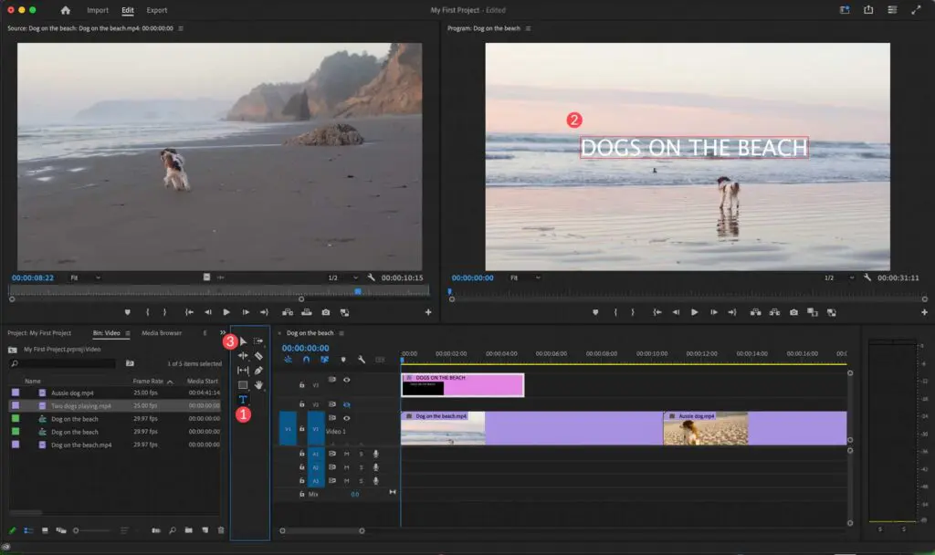 Adobe Premiere Pro 2024 Free Download