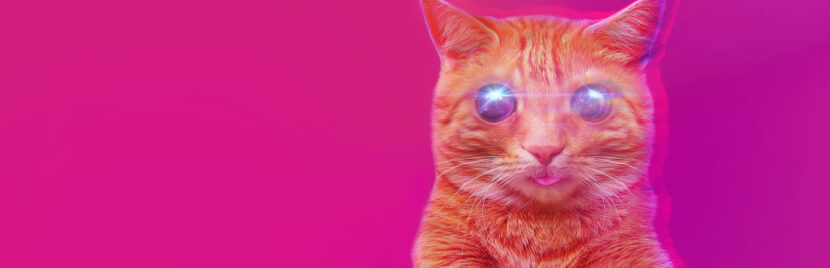 (게임무료다운_누누링크) PUSS Free Download (Build 19498314)