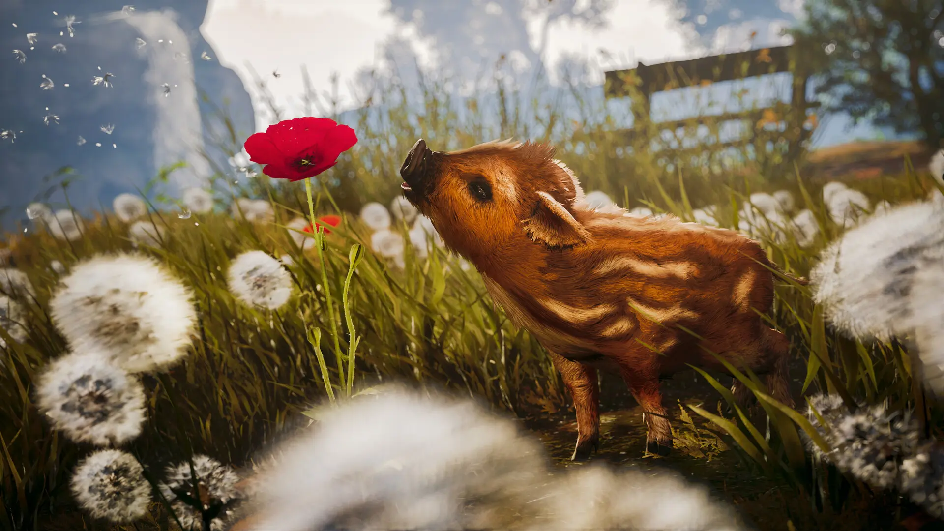 Adorable Adventures Free Download (v1.1)