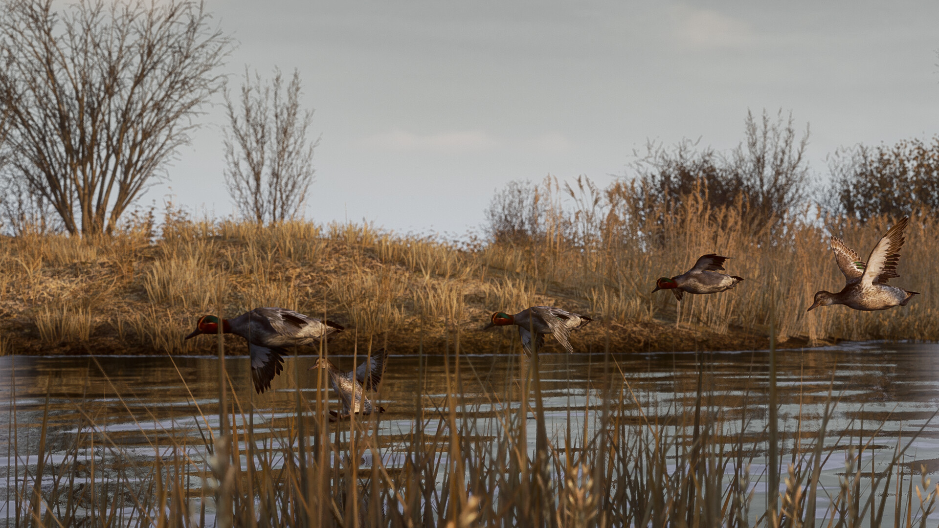 BULT Hunting simulator Build 22914457 Free Download