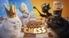 Cat Chess Free Pre-installed Game Download